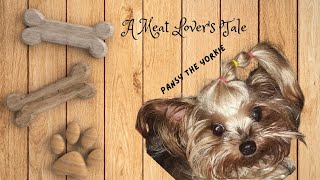 I LOVE GOOD OLE BOLOGNA yorkie yorke yorkshireterriers FUNNYDOGSCUTEDOGSPANSYAND BLOSSOM [upl. by Voss]