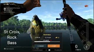 FISHING PLANET SAINT CROIX LAKE ROCK BASS [upl. by Bartolemo]