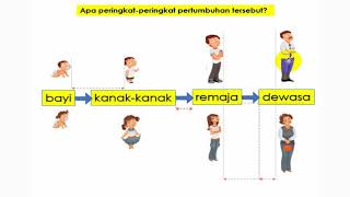 PERINGKAT TUMBESARAN MANUSIA SAINS SOSIAL DAN ALAM SEKITAR TAHUN 6 [upl. by Cheffetz]