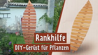 DekoBlatt als Rankgerüst für Kletterpflanzen selber bauen  MDR Garten [upl. by Galina]