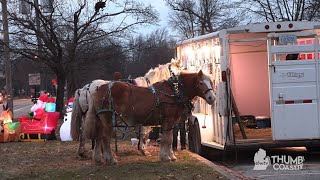 Twinkling Carriage Rides through Sherman Woods [upl. by Atenahs]