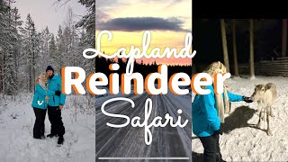 REINDEER SAFARI  Lapland Vlog 2024 [upl. by Ayotol]