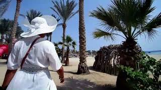 Brayka Resort and Bay Marsa Alam Egypt [upl. by Yahska682]