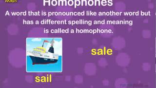 Homophone Words Words That Sound Same Grammar for Kids [upl. by Edi]