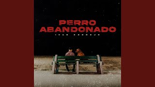 Perro Abandonado [upl. by Lanevuj]