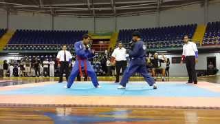 Campeonato Nacional JiuJitsu Tradicional 2013 Final [upl. by Eilime223]