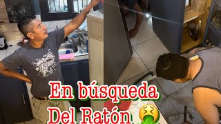 Con mucho miedo seguimos con la Búsqueda😱 daremos Vuelta a toda la casa para lograr encontrarla🤮 [upl. by Solange]