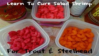 Learn To Cure Salad Shrimp [upl. by Satsoc236]