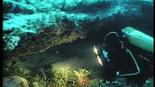 The Undersea World of Jacques Cousteau  The Sleeping Sharks of Yucatan [upl. by Ahsekahs]