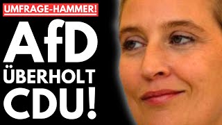 🔥PAUKENSCHLAG AfD ÜBERHOLT CDU WEIDEL BALD KANZLERIN MERZ KOCHT VOR WUT🔥 [upl. by Danas180]