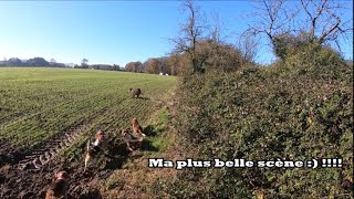 Ma plus belle vidéo YOUTUBE chasse aux sangliers  2021 [upl. by Aeslehc]