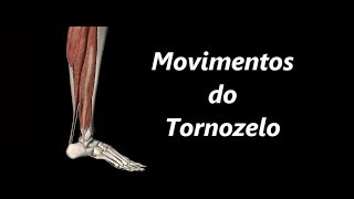 Movimentos do Tornozelo em 3D [upl. by Adnac]