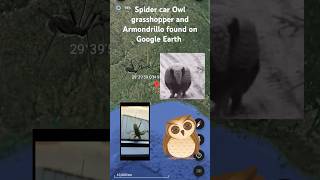 Spider car owl and armondrillo found on Google Earth googleearth trending [upl. by Sundin661]