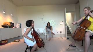 first cello lesson on Bachs Minuet No2 Suzuki Book 1 [upl. by Zerat617]