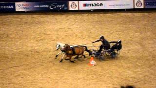 HOYS 2011 scurry driving [upl. by Naujaj295]