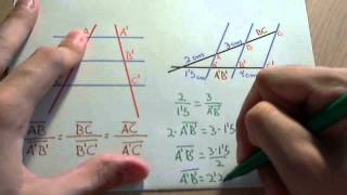 Teorema de Tales o Thales matemáticas [upl. by Ciri]