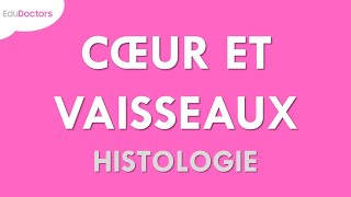 Le système cardiovasculaire  Histologie [upl. by Htevi]