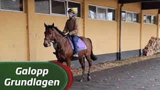 Galopp Grundlagen 10 Gangarten [upl. by Euell]