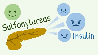 Mechanism of Action of Sulfonylureas and Meglitinide Analogs [upl. by Iruj927]