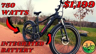 TurboAnt Nebula N1 Review  Great Fat Tire Ebike Even Better Price [upl. by Niram]