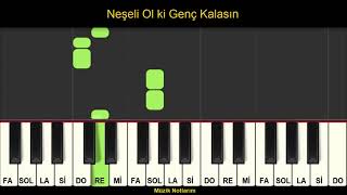 Neşeli Ol ki Genç Kalasın Melodika Org Notaları [upl. by Hort]