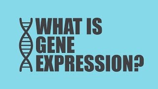 What is Gene Expression  Unicity Science [upl. by Ilojne]