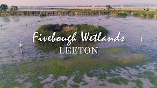 Fivebough Wetlands Leeton NSW [upl. by Allez]