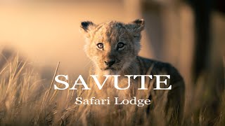 Savute Safari Lodge  Botswana [upl. by Malva]