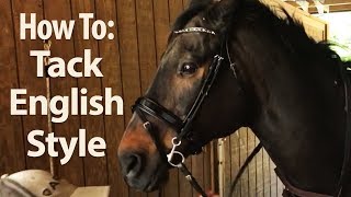 How to Saddle a Horse English Style  Jeffers Equine [upl. by Rand424]