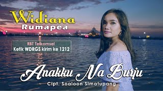 Widiana Rumapea  Anakku Na Burju  OFFICIAL MUSIC VIDEO [upl. by Hoem]