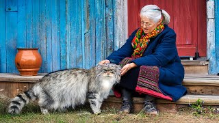 RARE WILD CAT Lives With Grandma What Scientists Discovered Will AMAZE You [upl. by Aenaj]