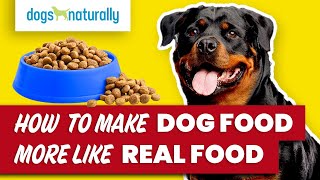 How To Make Dog Food More Like Real Food [upl. by Boonie]