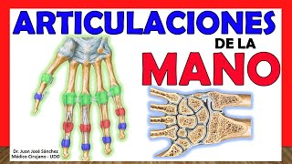 Mano evaluación clínica y semiológica  UAD  Primera Cátedra de Anatomía  FMed  UBA [upl. by Cazzie35]