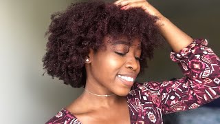 HOW I DYED MY NATURAL HAIR BURGUNDY without BLEACH [upl. by Korman700]