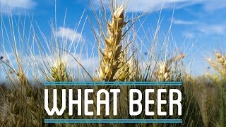 Wheat Beer from Scratch  How to Brew Everything [upl. by Llerdnod890]