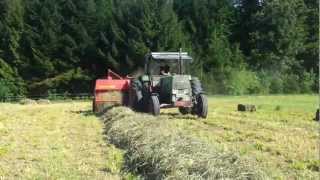 Kleinballen Pressen mit Fendt Farmer 3S und Welger AP 61 [upl. by Wojak]