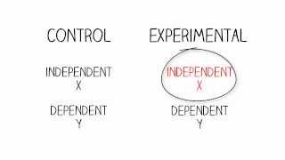 Research Methods Independent amp Dependent Variables [upl. by Einuj335]