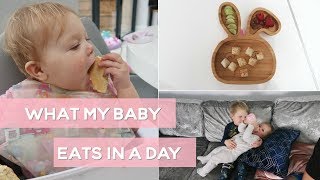 What My 10 Month Old Baby Eats In a Day [upl. by Gussman377]