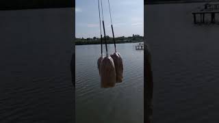 Pungile PVA sunt solutia Un BAG aruncat la timpul lui salvează partida carpfishing bag PVA [upl. by Eyahsal]