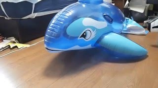 Inflatable dolphin riding 2 [upl. by Ilajna]