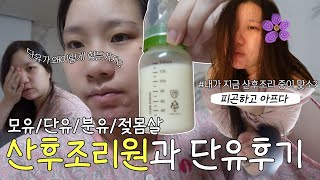 VLOG 산후조리원 안에서 단유 도전  제왕절개수술보다 더 아픈 단유  극심한 젖몸살 통증 feat 산후조리가 쉽지 않다😂 [upl. by Annodas]