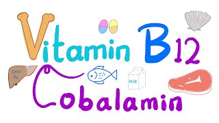 Vitamin B12 Cobalamin 🐚 🥩 🐠  Most Comprehensive Explanation [upl. by Alimak]