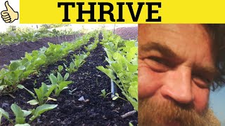 🔵 Thrive Thriving  Thrive Meaning  Thriving Examples  Thrive Definition  C2 English Vocabulary [upl. by Ahseirej]