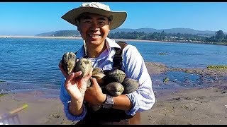 Digging for clams in Oregon How and where to catch giant clams during low tide [upl. by Rehpitsirhc474]