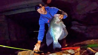 Catching MONSTER CRAPPIE Fishing Bridges At NIGHT LOADED [upl. by Stavro]