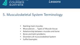 Medical Terminology Course Online [upl. by Nel]