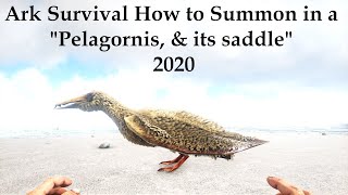 Ark Survival How to summon in a Pelagornis amp its saddle 2020 [upl. by Karin]