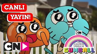 🔴 CANLI 🔴 GUMBALL  1 Sezon  Cartoon Network Türkiye [upl. by Eddana827]