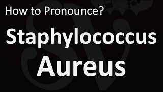 How to Pronounce Staphylococcus Aureus CORRECTLY [upl. by Enilrahc755]