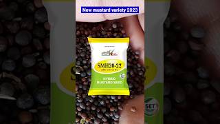 सरसों की नई वैरायटी  new mustard seeds  sarso ki kheti kaise Karen  SMH 2022 hybrid mustard seed [upl. by Wadlinger]